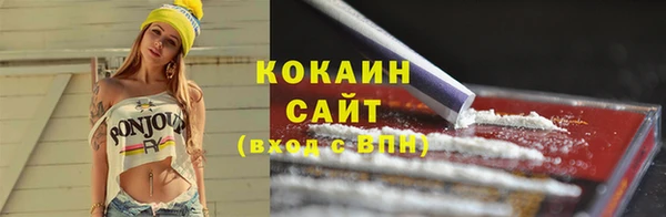 соль ск Козловка