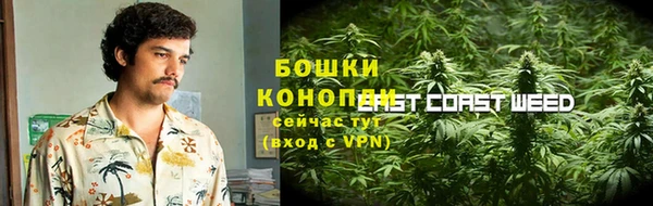 2c-b Козельск