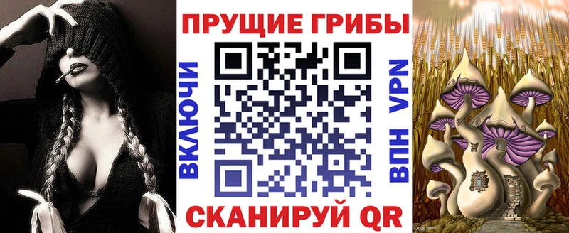 Купить закладки  Губаха  Галлюциногенные грибы Cubensis 